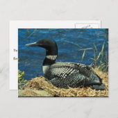 Carte Postale Lun commun (Devant / Derrière)