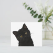 Carte Postale Luna Bella Black Kitten (Debout devant)