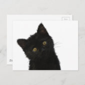 Carte Postale Luna Bella Black Kitten (Devant / Derrière)