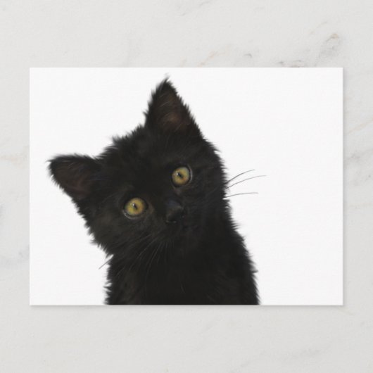 Carte Postale Luna Bella Black Kitten (Devant)