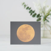 Carte Postale Lune (Debout devant)