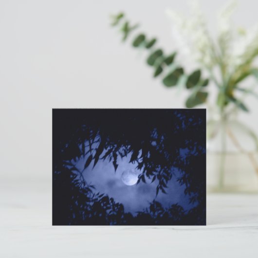 Carte Postale Lune (Debout devant)