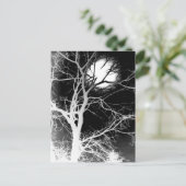 Carte Postale Lune (Debout devant)