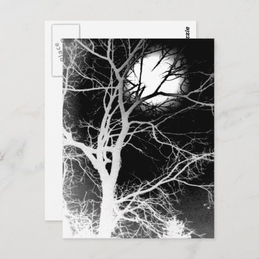 Carte Postale Lune (Devant / Derrière)