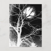 Carte Postale Lune (Devant)