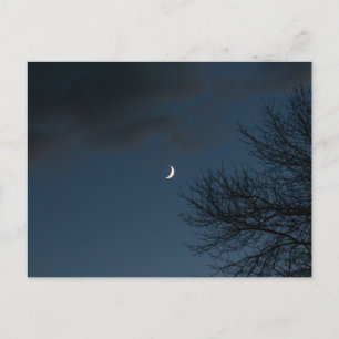 Carte Postale Lune Crescent En Sagittaire