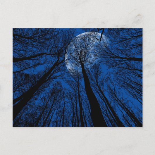 Carte Postale Lune dans le ciel nocturne (Devant)