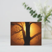 Carte Postale Lune d'automne brillant à travers l'arbre (Debout devant)