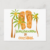 Carte Postale Lune de miel en Cozumel (Devant)