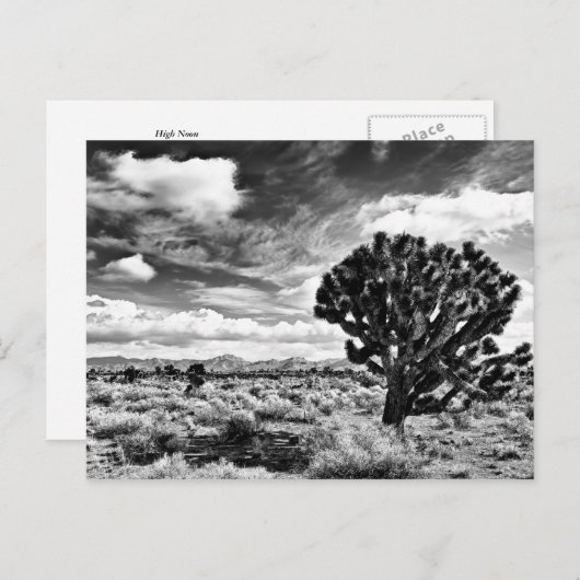 Carte Postale Lune élevée (Devant / Derrière)