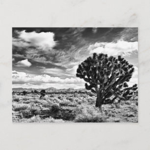 Carte Postale Lune élevée