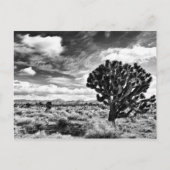 Carte Postale Lune élevée (Devant)