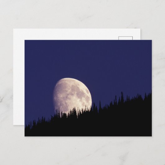 Carte Postale Lune et forêt | Parc national du Glacier Montana (Devant / Derrière)