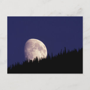 Carte Postale Lune & Forêt Glacier National Park Montana