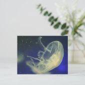 Carte Postale Lune méduse (Debout devant)