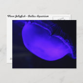 Carte Postale Lune méduse # 6 (Devant / Derrière)