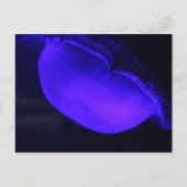 Carte Postale Lune méduse # 6 (Devant)