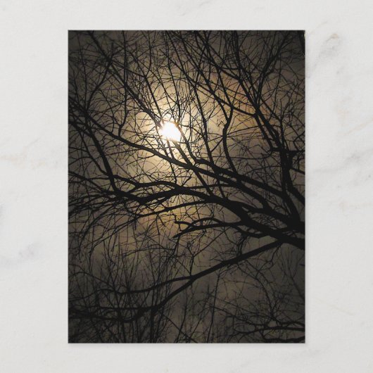 Carte Postale Lune mystique (Devant)