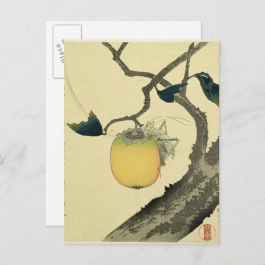 Carte Postale Lune, Persimmon et Grasshopper, 1807 (Devant / Derrière)