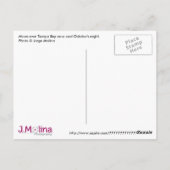 CARTE POSTALE LUNE SUR LA BAIE TAMPA ! (Dos)