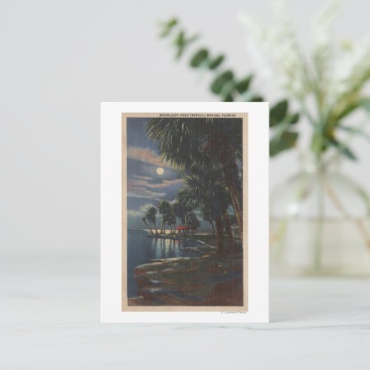 Carte Postale Lune sur une plage de FlorideFloride (Debout devant)