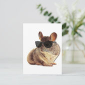 Carte Postale Lunettes de soleil Chinchilla (Debout devant)