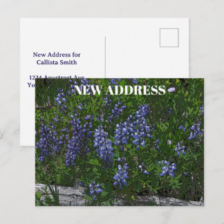 Carte Postale Lupins Change of Address