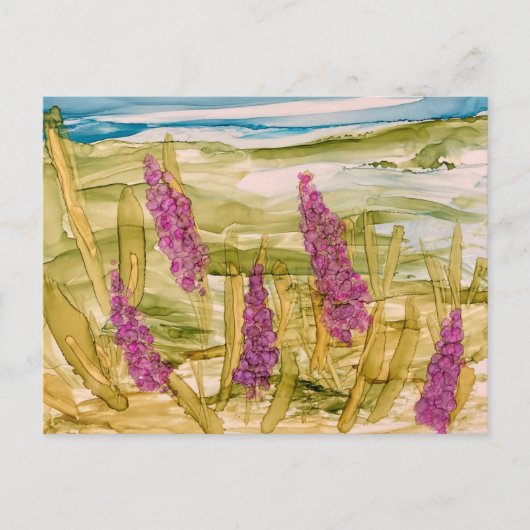Carte Postale Lupins dans la nature (Devant)