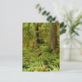 Carte Postale Lush Forest & Ferns | Ecola State Park, Oregon (Debout devant)