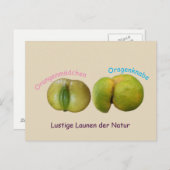 Carte Postale Lustige Orangen (Devant / Derrière)