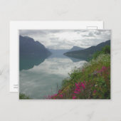 Carte Postale Lustrafjorden Panorama (Devant / Derrière)