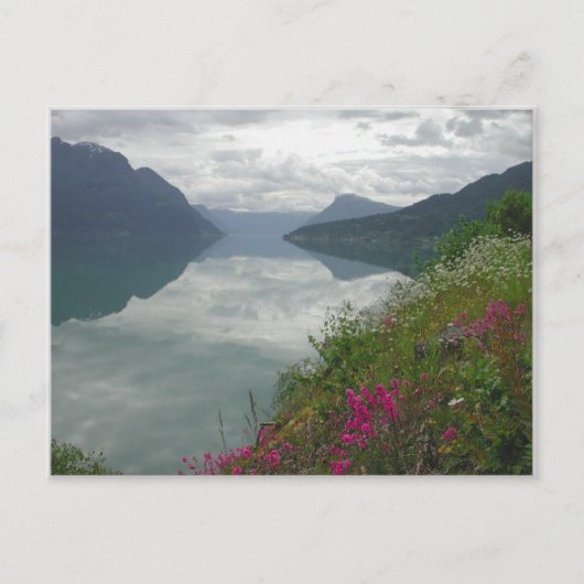 Carte Postale Lustrafjorden Panorama (Devant)