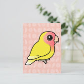 Carte Postale Lutino Peach face Lovebird (Debout devant)