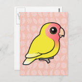 Carte Postale Lutino Peach face Lovebird (Devant / Derrière)