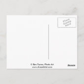 Carte Postale Lutte (Dos)