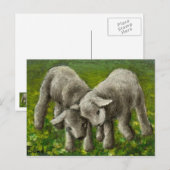 Carte Postale Lutte contre l'agneau (Devant / Derrière)