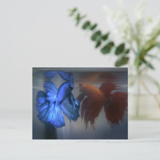 Carte Postale Lutter contre le poisson (Debout devant)