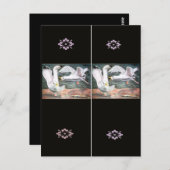 Carte Postale Lutter contre les mouettes Signet (Devant / Derrière)