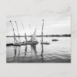 Carte Postale Luxor Egypt, Feluccas sur le Nil