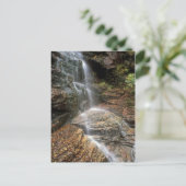 Carte Postale Lye Brook Falls Vermont (Debout devant)