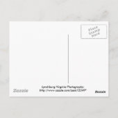 Carte Postale Lynchburg Virginia Steps of the City (Dos)