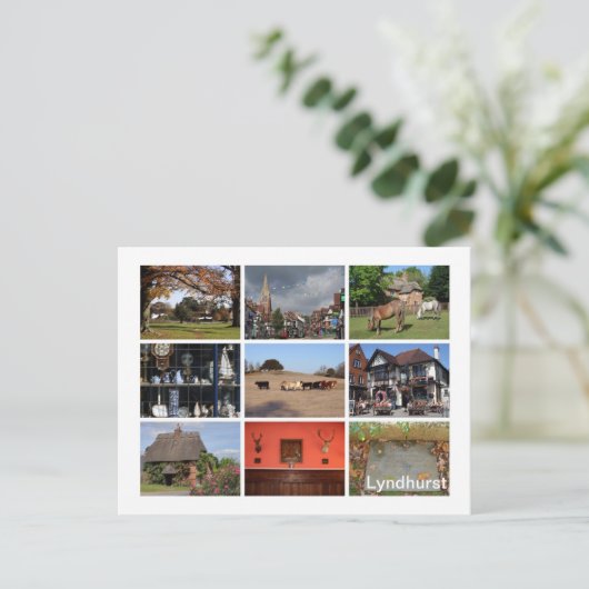 Carte Postale Lyndhurst (Debout devant)