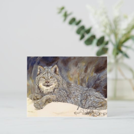 Carte postale Lynx (Debout devant)