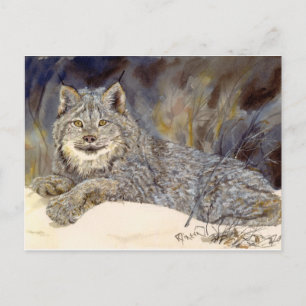 Carte postale Lynx