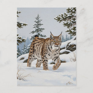 Carte Postale Lynx dans le parc national Fulufjället Suède Voyag