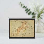Carte Postale Lynx et Telescopium Herschilii (Debout devant)