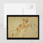 Carte Postale Lynx et Telescopium Herschilii (Devant / Derrière)
