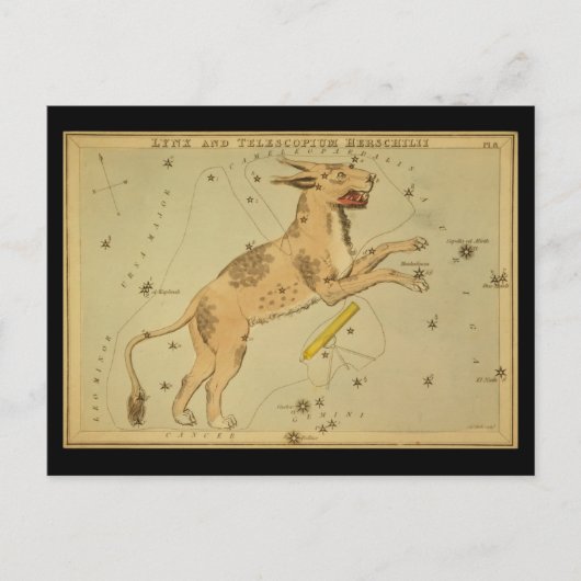 Carte Postale Lynx et Telescopium Herschilii (Devant)
