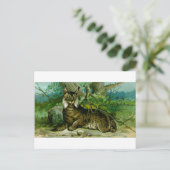 Carte Postale Lynx eurasien (Debout devant)