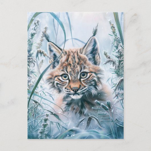 Carte Postale Lynx peu commun dans la forêt enneigée (Devant)